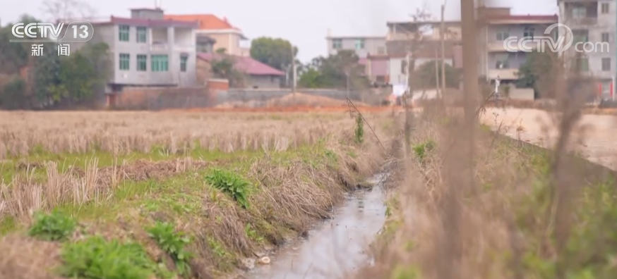 保灌溉 助春耕｜铺设地下管道 让“望天田”“喝”上水(图1)