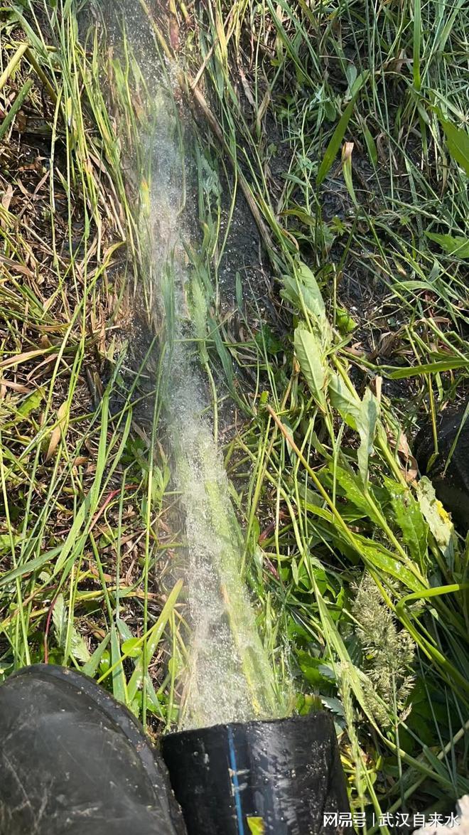 市政自来水管道清洗 球墨铸铁管道清洗 供水微生物清除(图3)